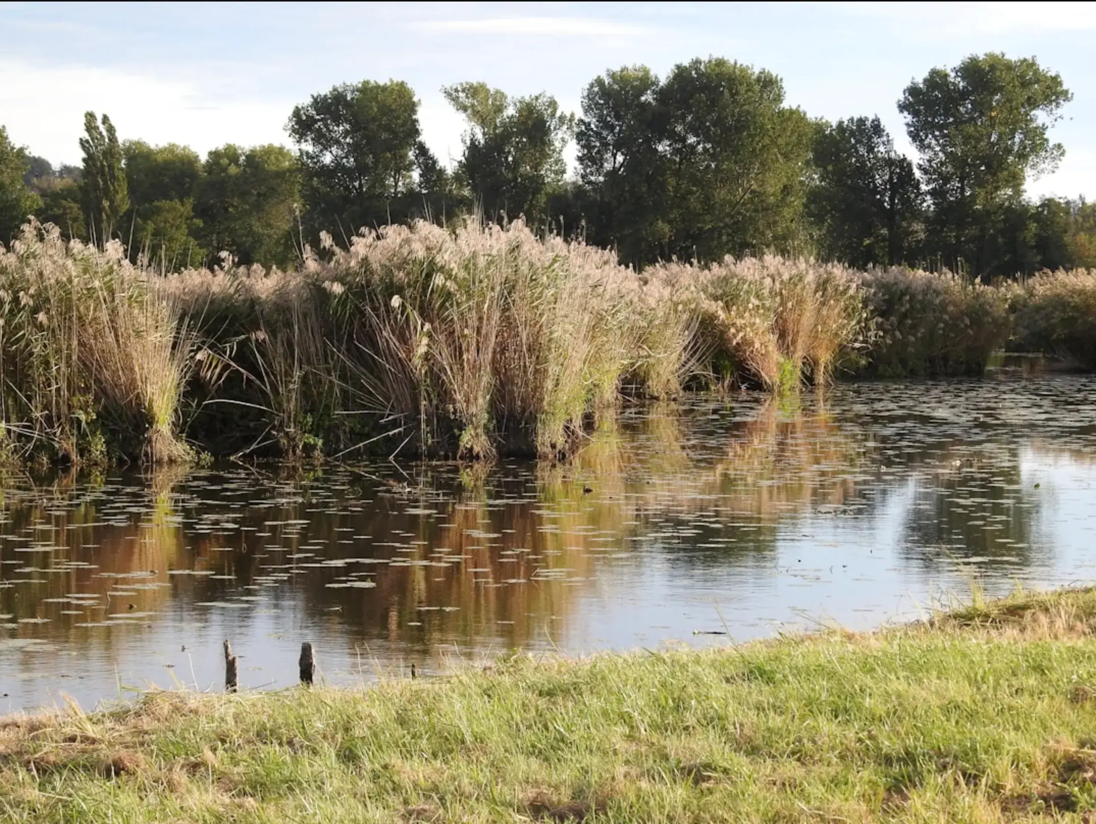 Sustainable stormwater infrastructure